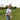 Men's Polos