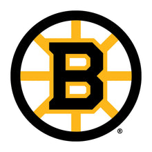 Boston Bruins